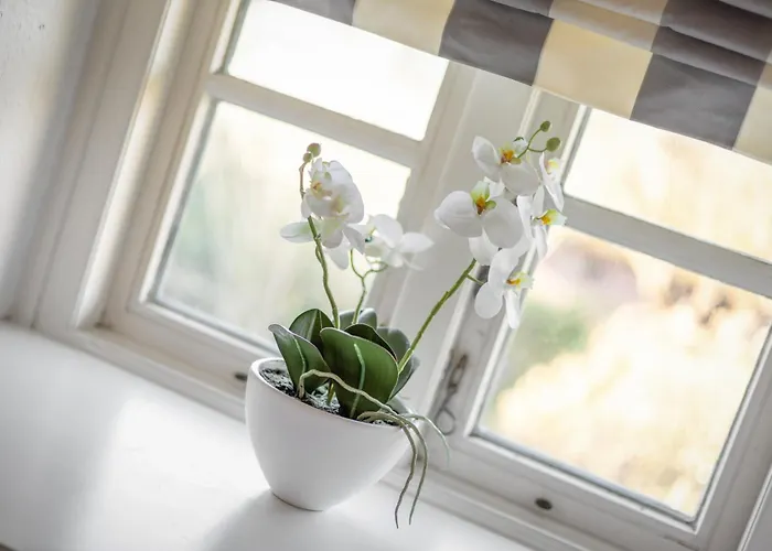 Hinrich Og Apartamento *